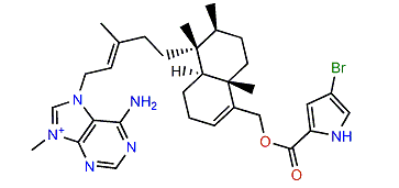 Agelasine R